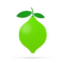 Lime with green leaves, slice citrus isolated on white background. Vector illustration.