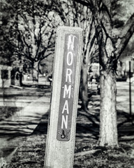Norman Norm Name Street Sign