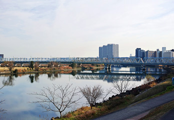 川崎市から見た多摩川と六郷川橋梁