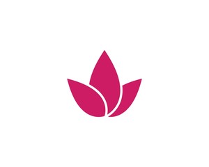 Lotus flowers logo Template