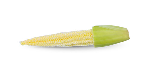 Baby corn isolated on white background, clipping path.