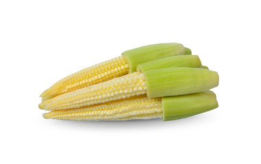 Baby corn isolated on white background, clipping path.