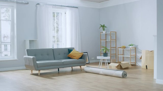 Time-Lapse: Boxes with Stuff, Furniture, Decorations Appearing in the Cozy Modern Apartment. Room Furnishing Concept.