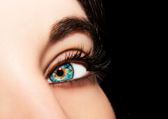 A beautiful insightful look woman's eye. Close up shot