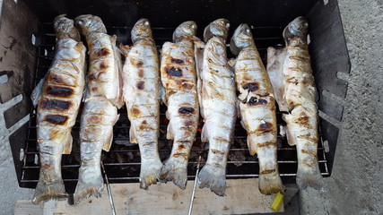 Baking fresh trout