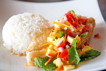 Soft rice and grilled fish Dolly bento with vegetables, selective focus.