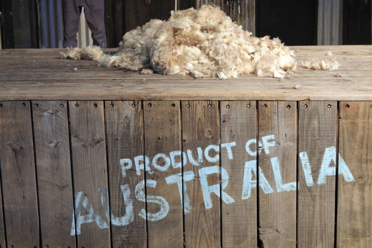 Australian sheep wool industry