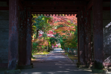 京都　醍醐寺　仁王門と紅葉