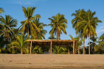 La casa de paja y madera está rodeada de palmeras.