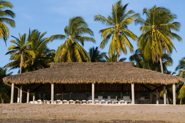Fototapeta na wymiar La palapa grande tiene palmeras alrededor.
