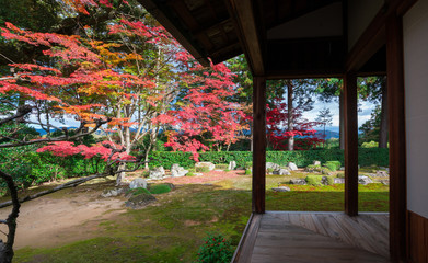 京都　圓通寺の紅葉　　