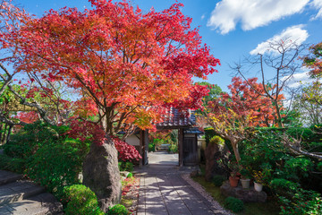 京都　正法寺（しょうぼうじ）の紅葉