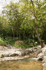 Sleeping Giant Tropical Garden 4