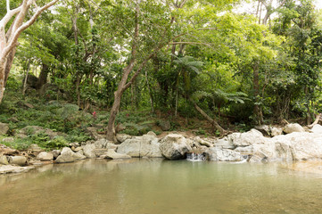 Sleeping Giant Tropical Garden Waterfall