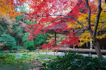 京都　南禅寺　南禅院の紅葉