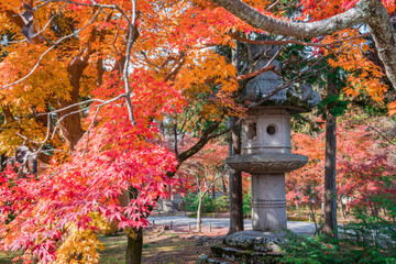 京都　南禅寺の大灯籠と紅葉