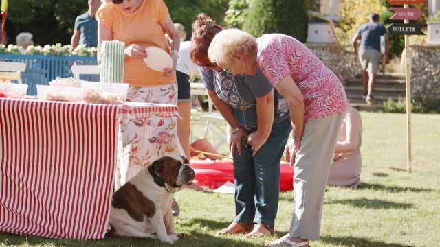 Women Looking At English Bulldog Sitting By Cake Stall At Summer Garden Fete