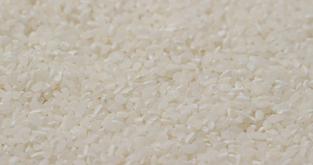 White uncooked rice