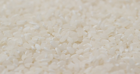 White uncooked rice