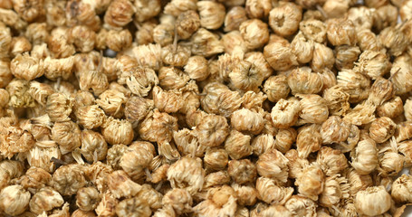 Stack of Dry Chrysanthemum