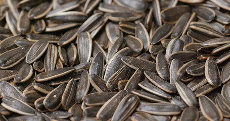 Pile of Sunflower seeds