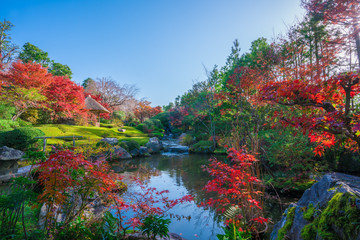 京都　妙心寺　退蔵院の紅葉