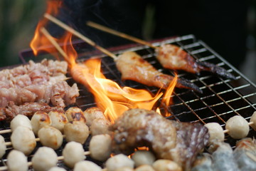 grilled meat on the grill