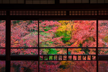 京都　瑠璃光院の紅葉　