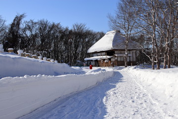 Fototapeta na wymiar 雪に覆われた茅葺屋根の家の風景