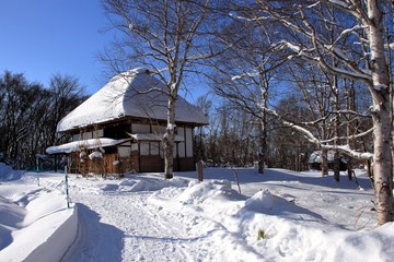 雪に覆われた茅葺屋根の家の風景