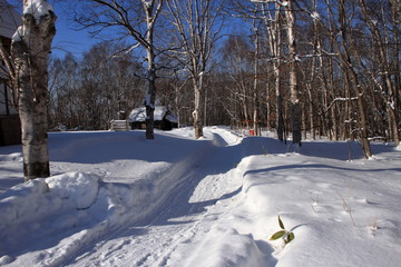 雪に覆われた茅葺屋根の家の風景