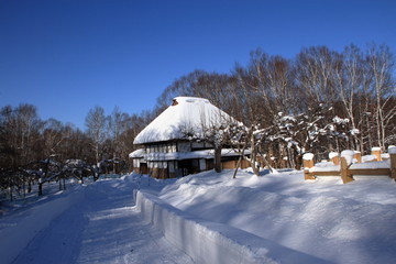 雪に覆われた茅葺屋根の家の風景