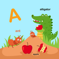 Obraz na płótnie Canvas Illustration Isolated Animal Alphabet Letter A-ant,apple,alligator.vector