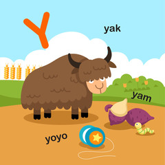 Illustration Isolated Alphabet Letter Y-yak,yoyo,yam.vector