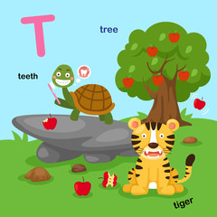 Illustration Isolated Alphabet Letter T-teeth,tiger,tree.vector