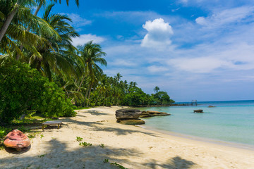 Relaxtion scene of peaceful beach with coconut palm tree blue sky