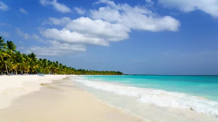 Fotobehang Palmenkustlijn op Caraïbisch strand, Eiland Saona © htpix