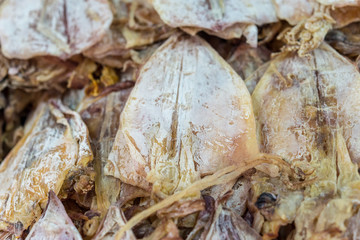 Dry squid close up