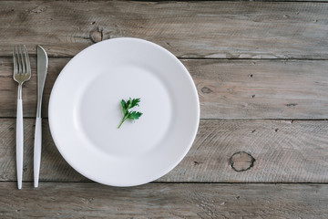 Empty plate with parsley leaf