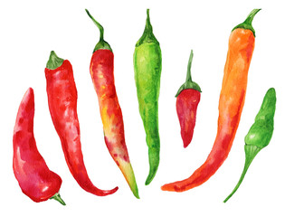 Red anwatercolor, graphics, illustration, vegetable, food,d green peppers, chili, seasoning, watercolor illustration
