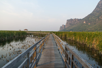 Obraz premium walkway, lake of Sam Roi Yot