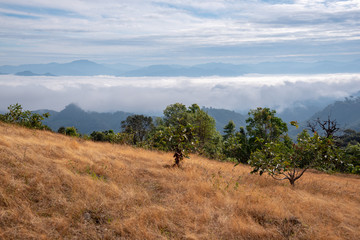 Fototapeta na wymiar Mountain fog sky clouds landscape