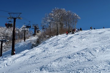 日本のスキーリゾートでウィンタースポーツを楽しむ人