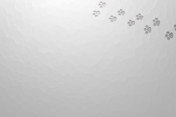 Snow ground and animal's footprint　雪の大地と動物の足跡