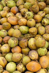 Large quantity of coconuts stacked up for sale