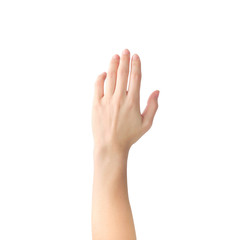 Raising Hands for Participation on white background. clipping path.