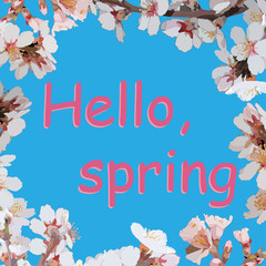 words Hello spring on a blue background in a frame of flowering trees