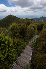 Fototapeta na wymiar Stairs in a mountain jungle