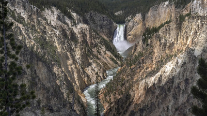 Fototapeta na wymiar wide shot of high water flow over yellowstone falls from artist point in yellowstone national park in the united states
