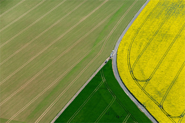 Fototapeta na wymiar vue aérienne de champs de colza à l'ouest de Paris